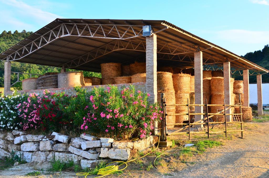 Agriturismo Terre Di Musignano Canino Habitación foto