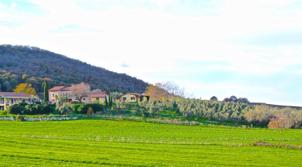 Agriturismo Terre Di Musignano Canino Exterior foto